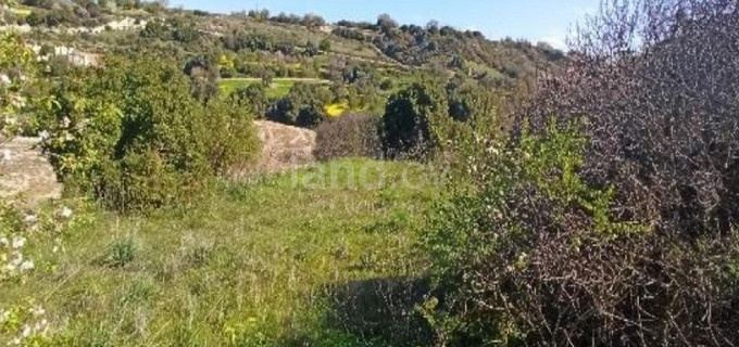 Terrain agricole à vendre à Paphos