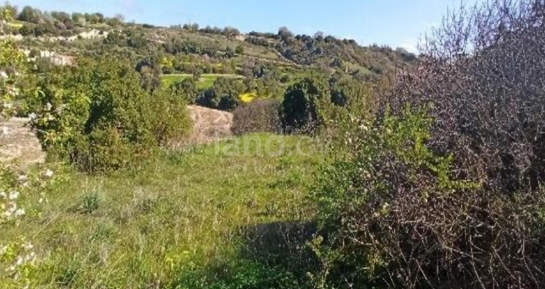 Jordbruksfält till salu i Paphos