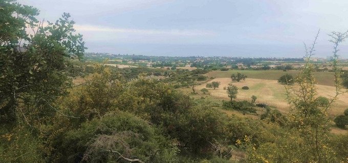 Field for sale in Paphos