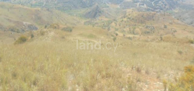 Terrain agricole à vendre à Paphos