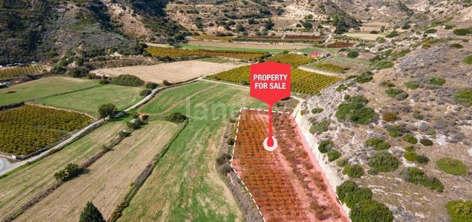 Touristic field for sale in Limassol