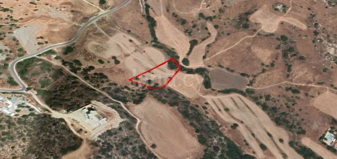 Agricultural field for sale in Limassol