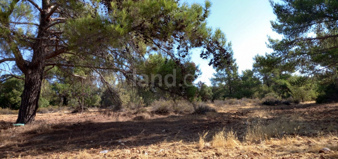 Residential plot for sale in Limassol
