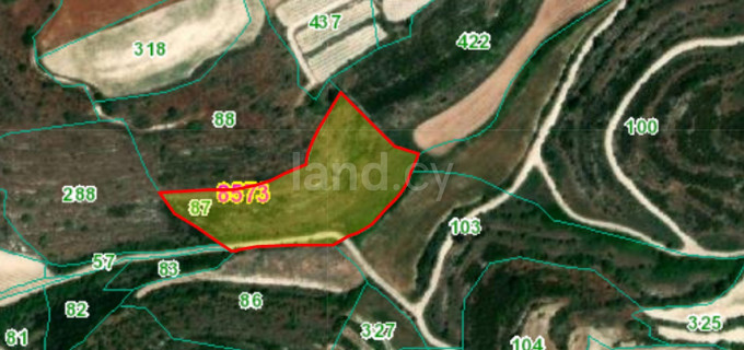 Agricultural field for sale in Paphos