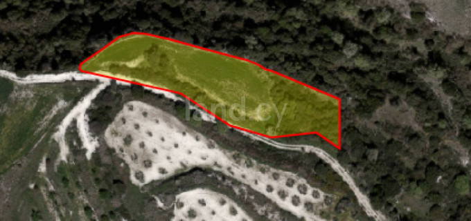 Agricultural plot for sale in Paphos