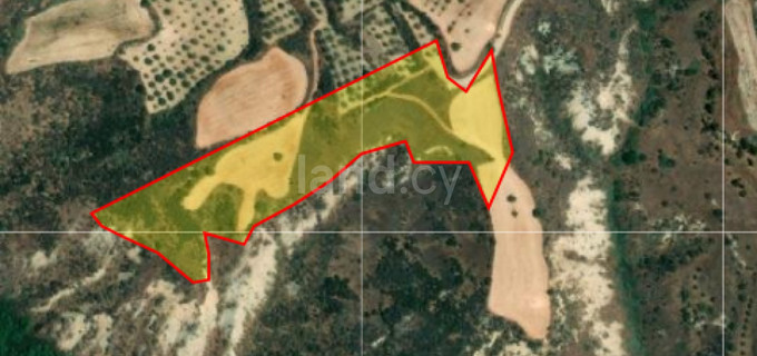 Agricultural plot for sale in Paphos