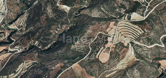 Agricultural field for sale in Limassol