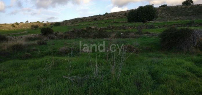 Agricultural field for sale in Limassol