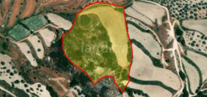 Agricultural field for sale in Paphos