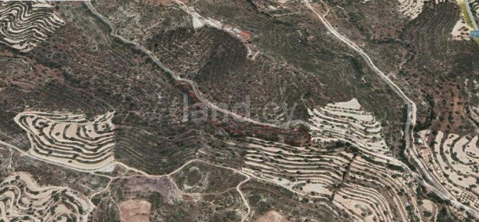 Agricultural field for sale in Limassol