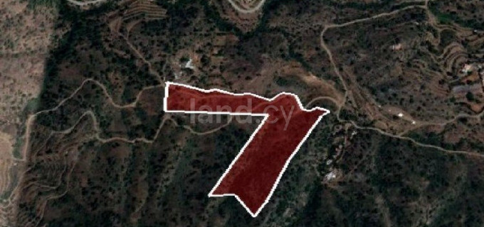 Agricultural field for sale in Limassol