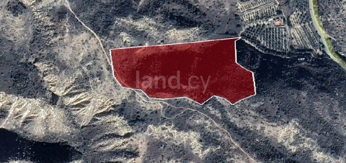 Agricultural field for sale in Limassol