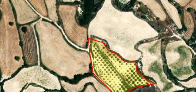 Campo agrícola a la venta en Paphos