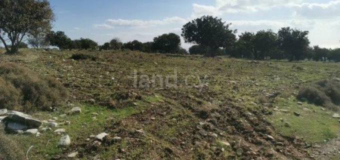 Field for sale in Limassol