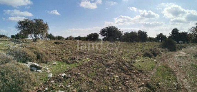 Agricultural field for sale in Limassol