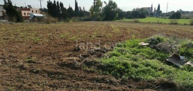 Αγροτικό αγροτεμάχιο προς πώληση - Λεμεσός