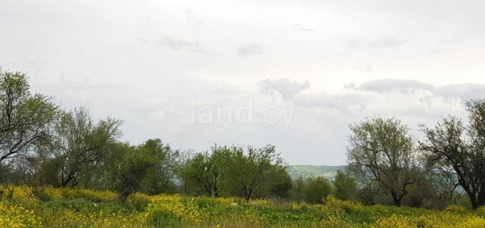 Residential plot for sale in Paphos