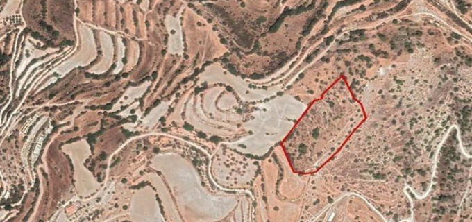 Terrain agricole à vendre à Paphos