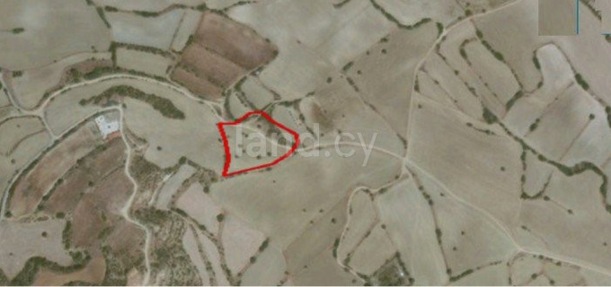 Agricultural field for sale in Limassol