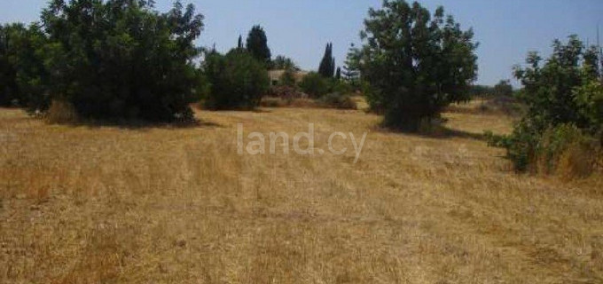 Residential field for sale in Paphos