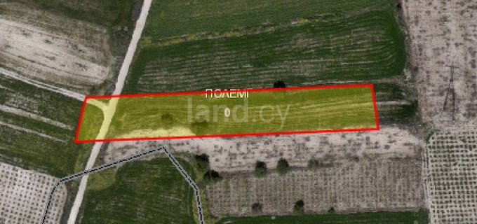 Agricultural field for sale in Paphos