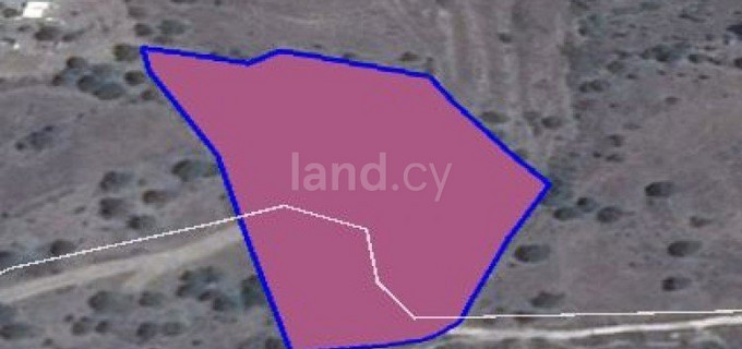 Agricultural field for sale in Paphos