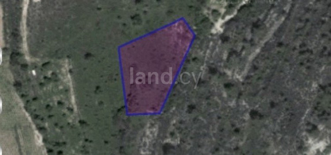 Agricultural field for sale in Limassol