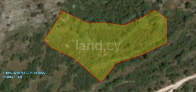 Agricultural field for sale in Paphos