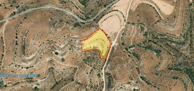 Agricultural field for sale in Limassol