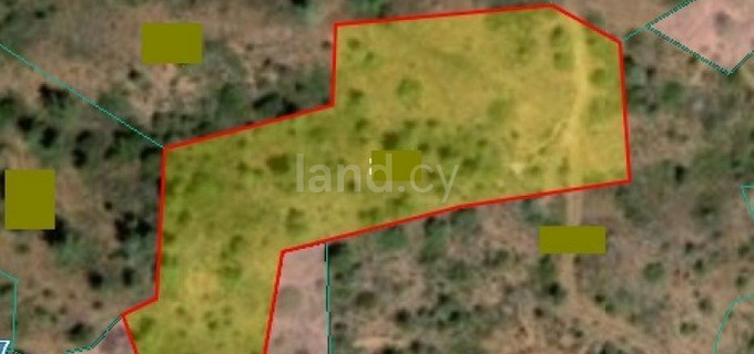 Agricultural field for sale in Limassol