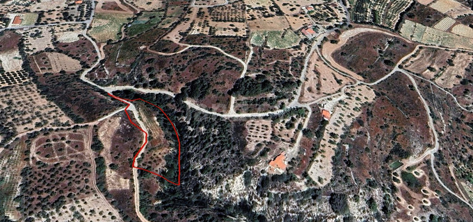 Agricultural field for sale in Limassol