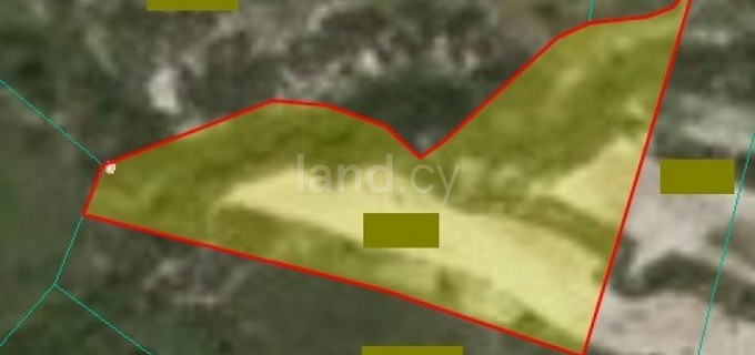 Agricultural field for sale in Limassol