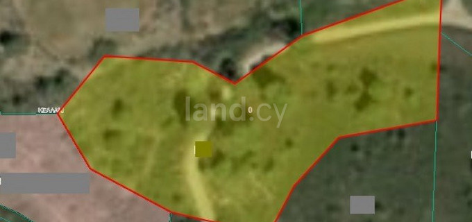 Сельскохозяйственное поле на продажу в Лимассол