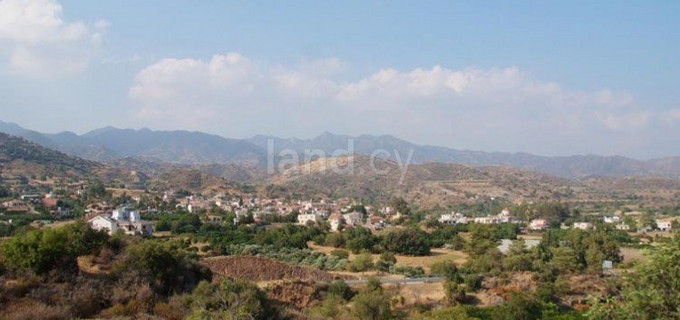 Terrain agricole à vendre à Limassol