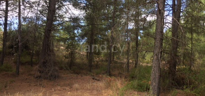 Agricultural field for sale in Limassol