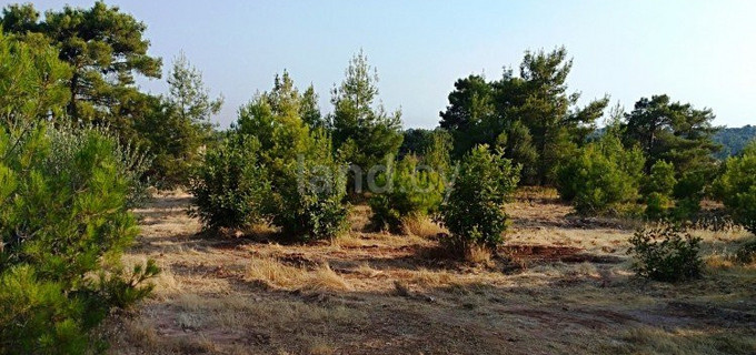 Baugebiet in Limassol zu verkaufen