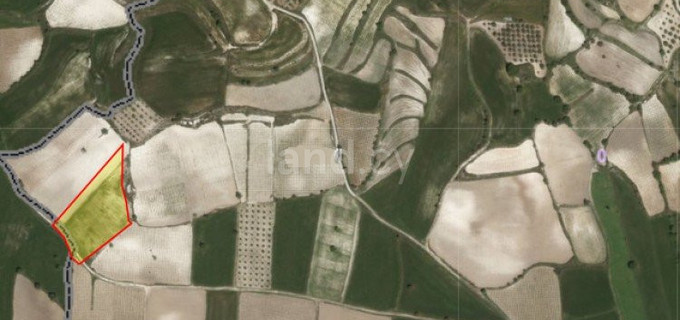 Agricultural field for sale in Paphos