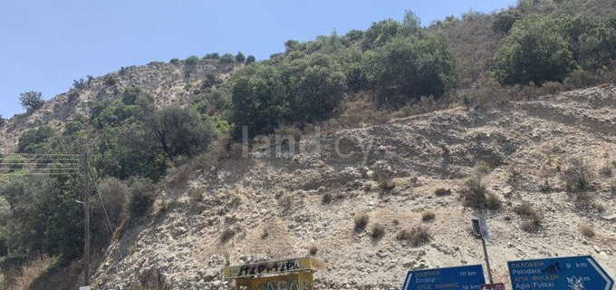 Agricultural field for sale in Limassol