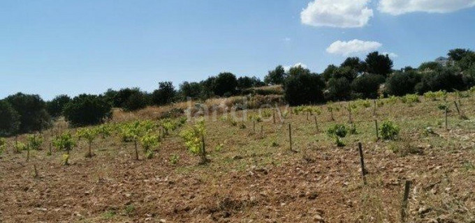 Residential field for sale in Limassol