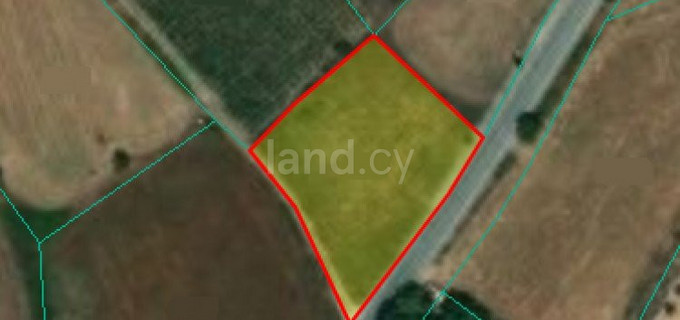 Agricultural field for sale in Paphos