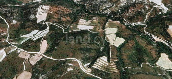 Agricultural field for sale in Limassol