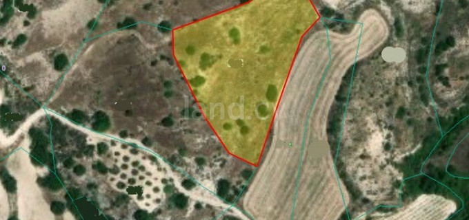 Αγροτικό αγροτεμάχιο προς πώληση - Πάφος