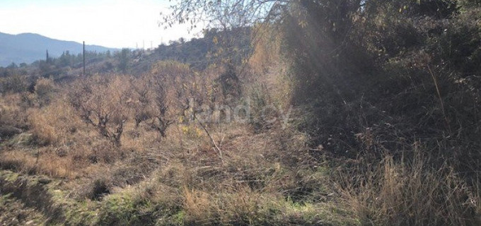 Agricultural field for sale in Limassol