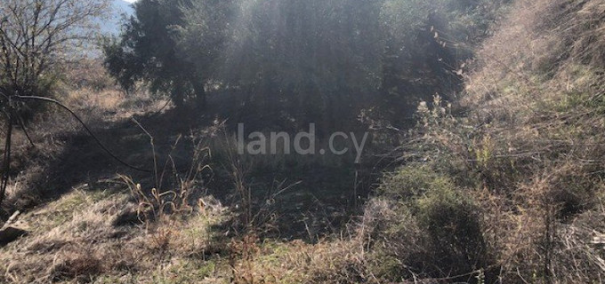 Agricultural field for sale in Limassol