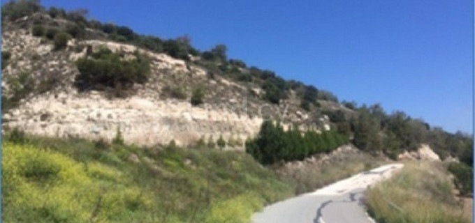 Terrain agricole à vendre à Paphos