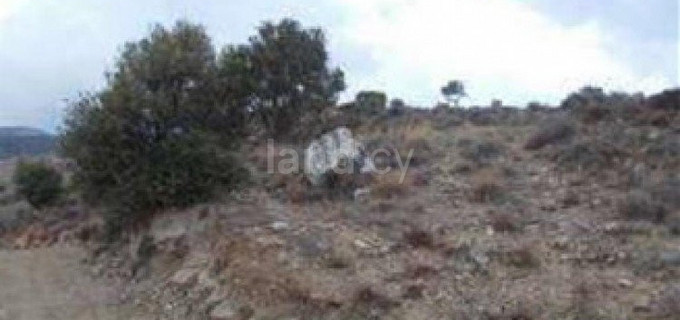 Agricultural field for sale in Paphos