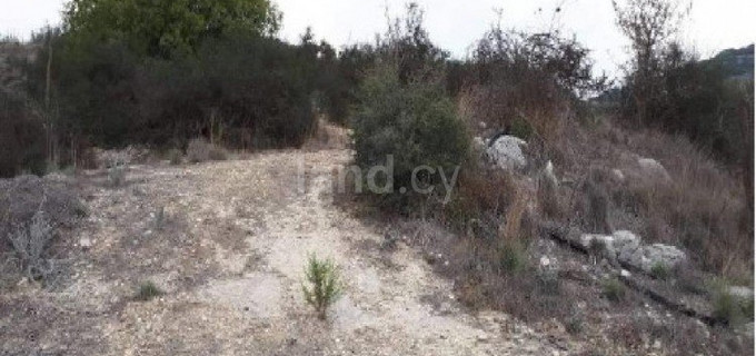 Terrain agricole à vendre à Paphos