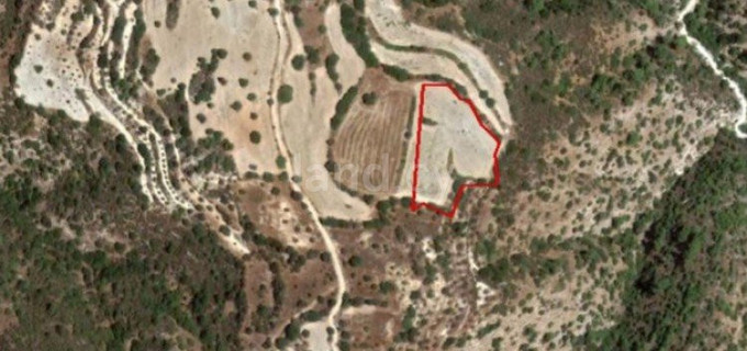 Terrain agricole à vendre à Paphos