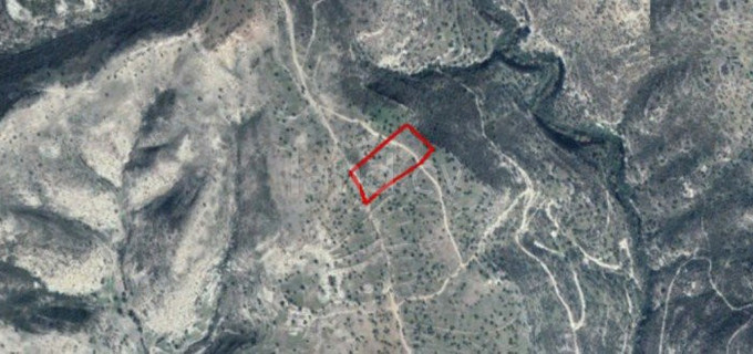 Jordbruksfält till salu i Limassol