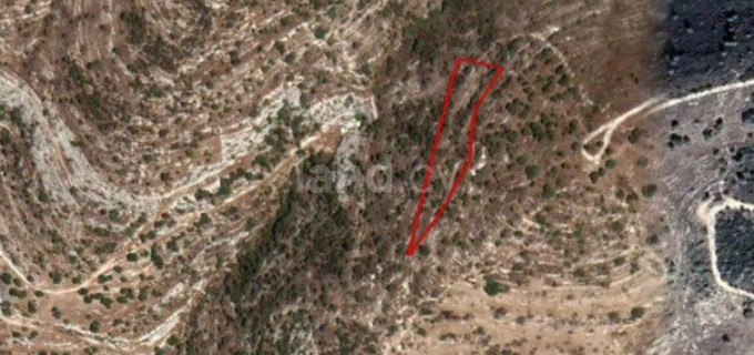 Agricultural field for sale in Paphos